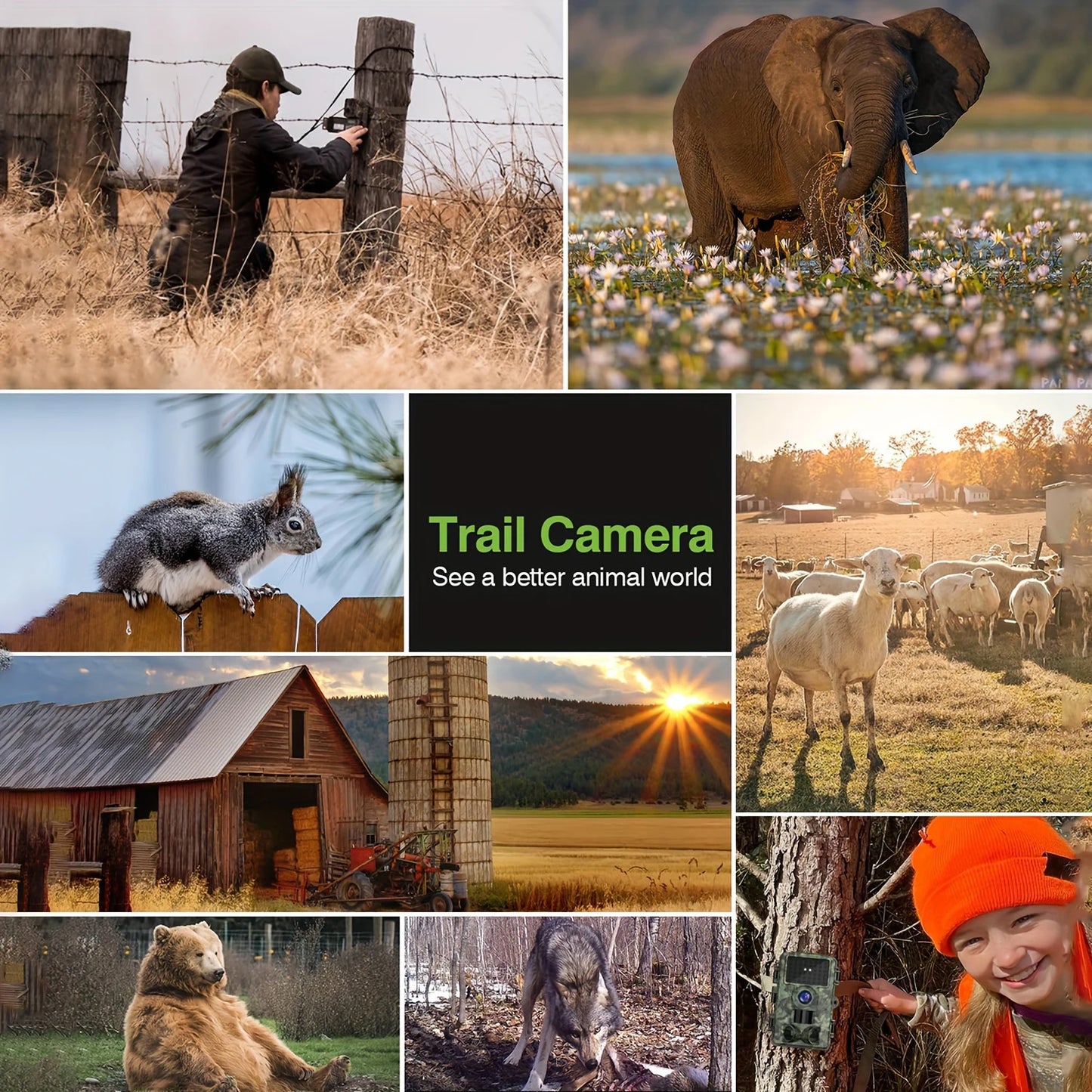 1080P Hunting Trail Camera  Waterproof Infrared Night Vision Motion Activated Trigger for Wildlife Monitoring  Scouting Outdoor